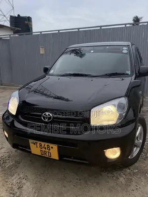 Toyota RAV4 2004 Black