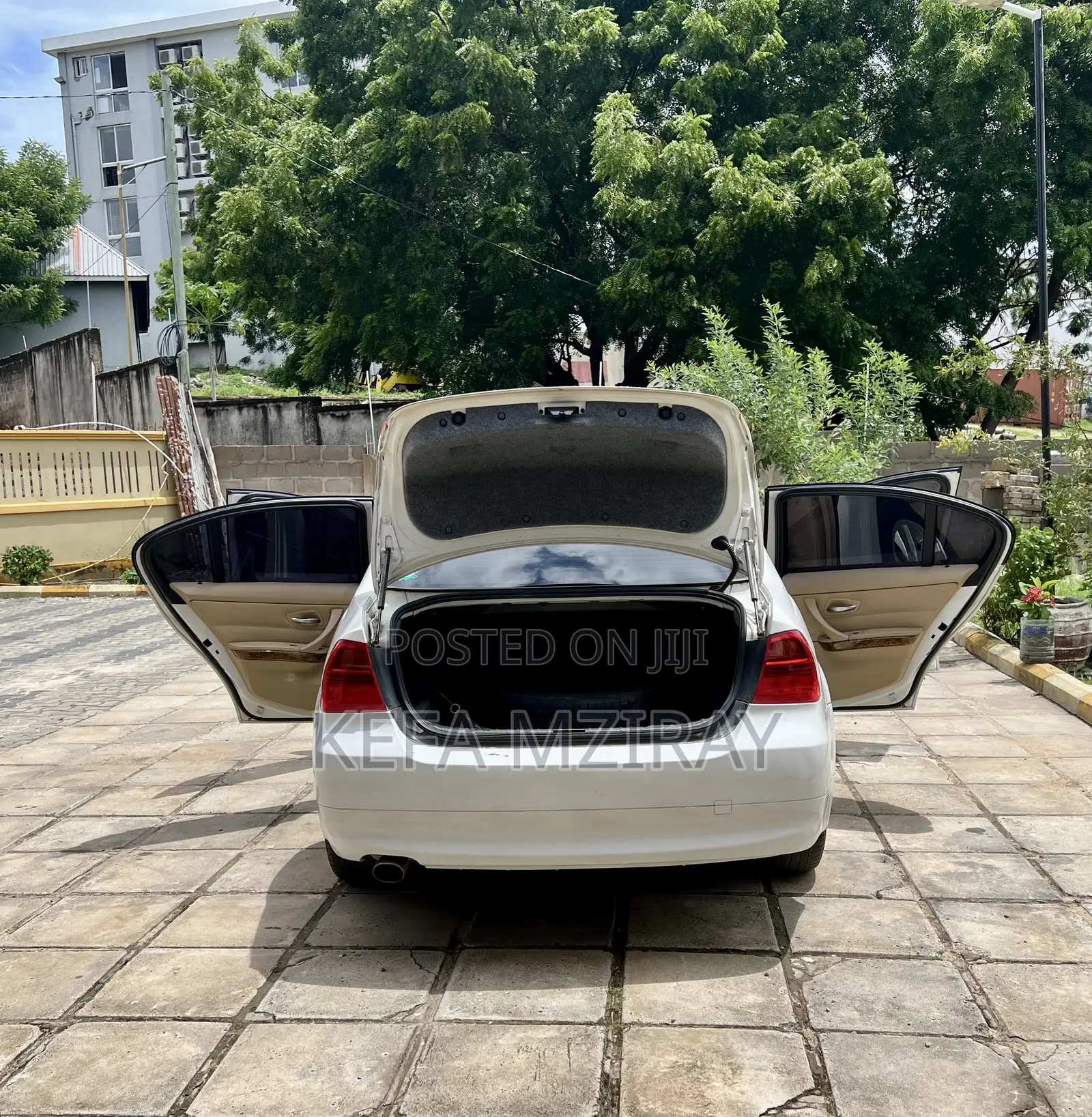 BMW 3 Series 320i RWD 2010 White