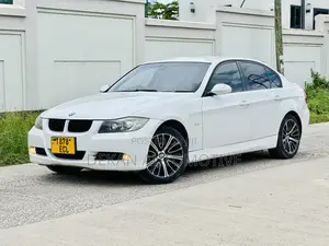 BMW 3 Series 316i RWD 2010 White