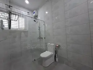 Furnished 2bdrm Apartment in Kijitonyama for rent