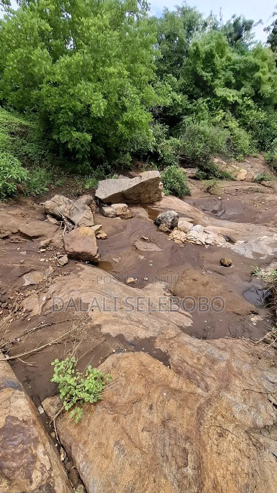Permit Available Hector 150 for Pebbles in Msata