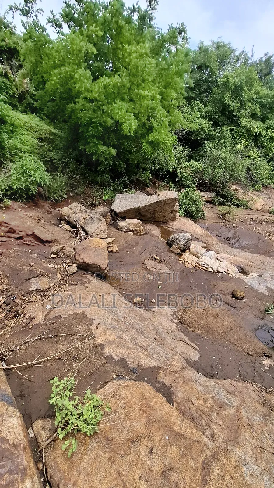 Permit Available Hector 150 for Pebbles in Msata
