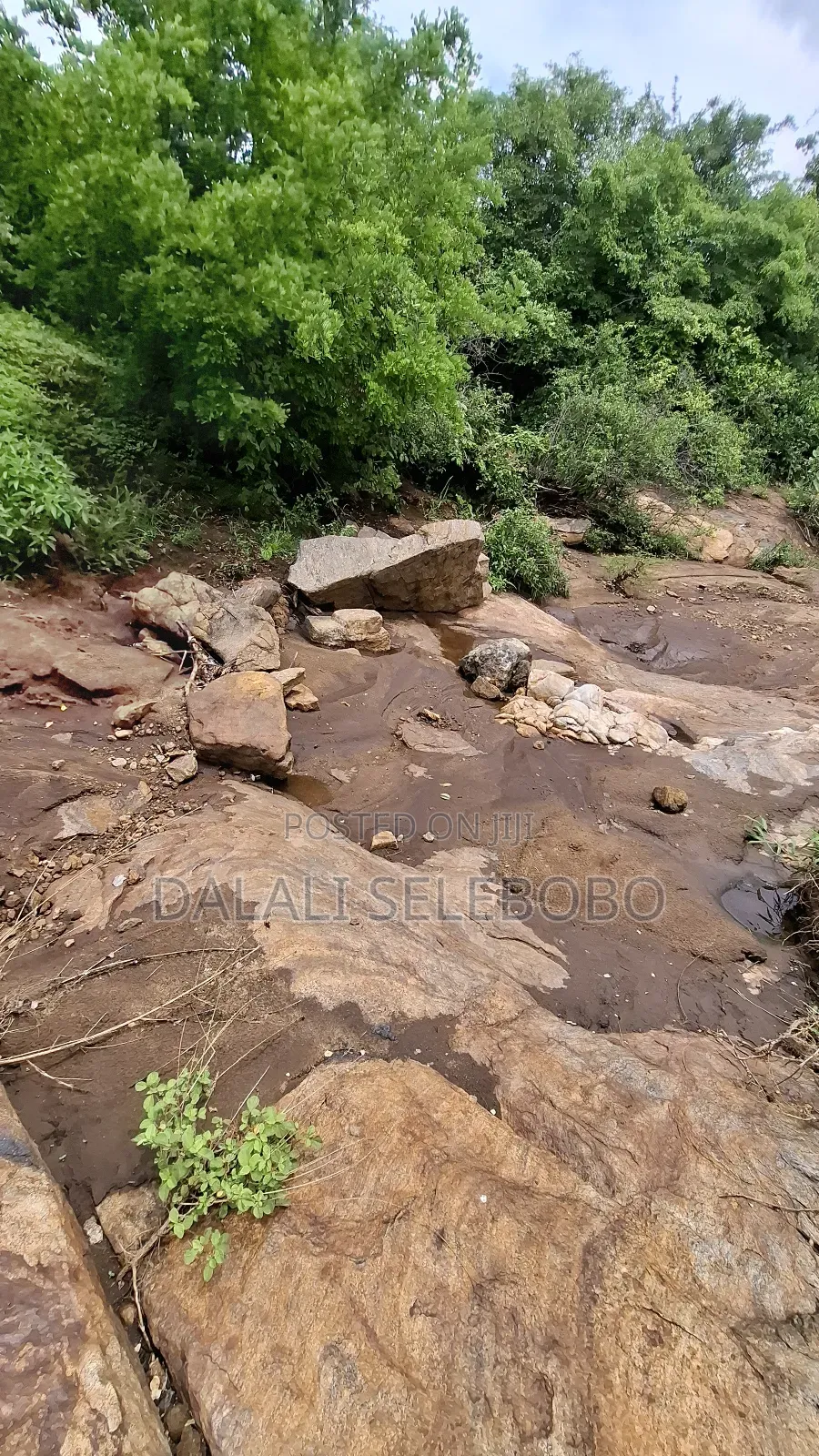 Permit Available Hector 150 for Pebbles in Msata