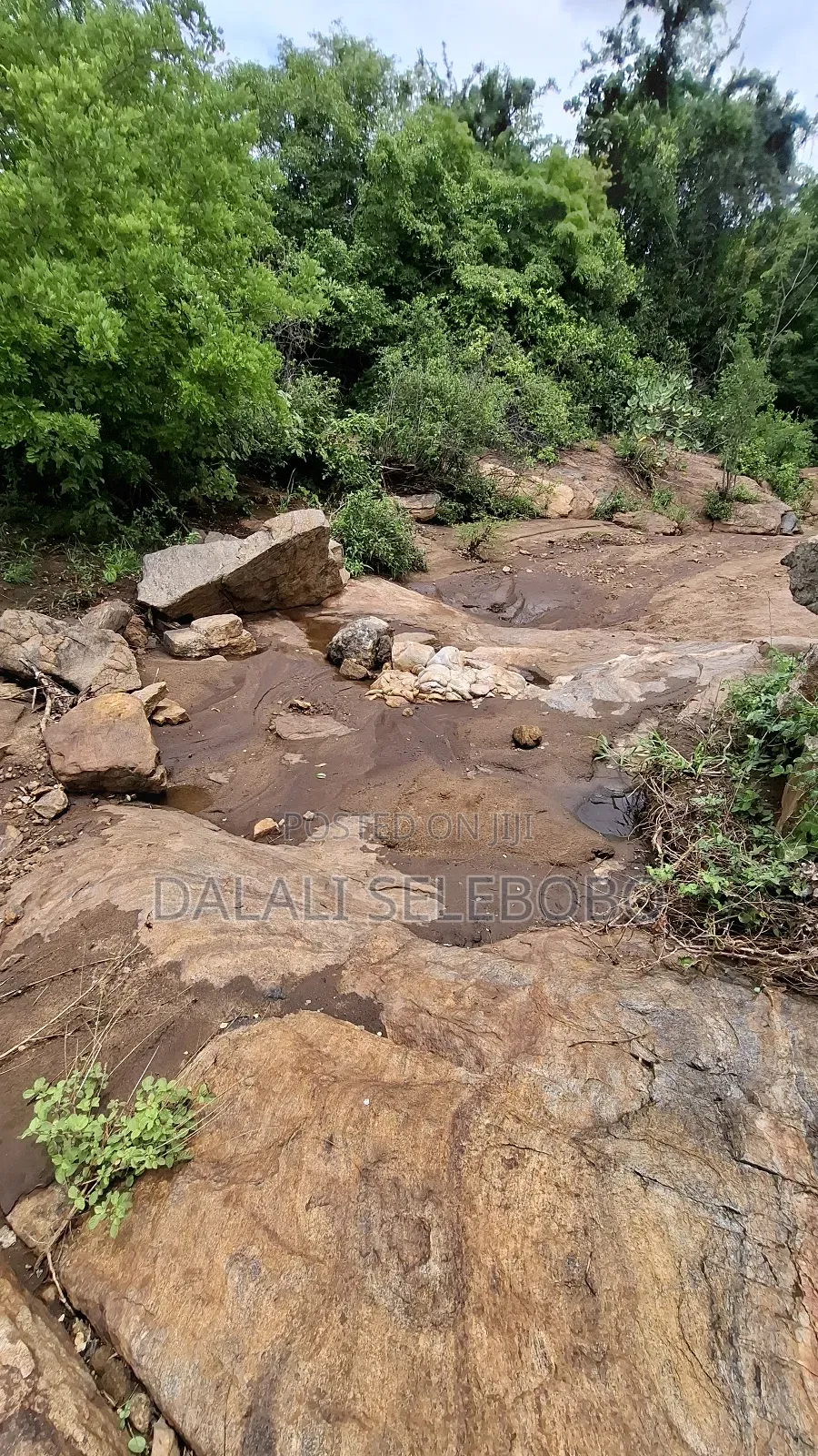 Permit Available Hector 150 for Pebbles in Msata