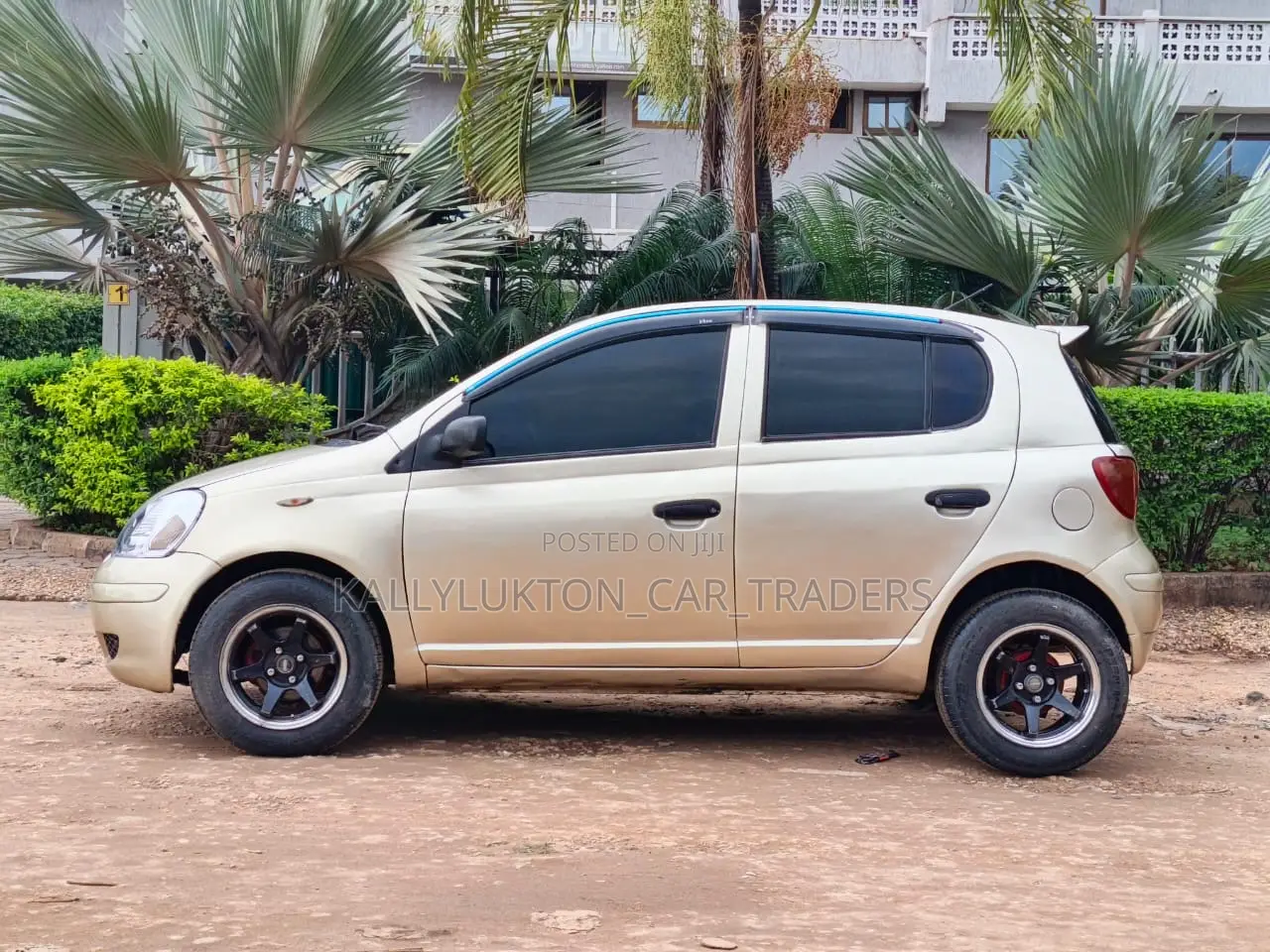 Toyota Vitz 2004 Gold