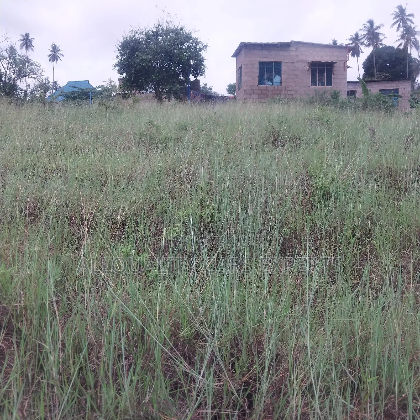 Land SQM 650
