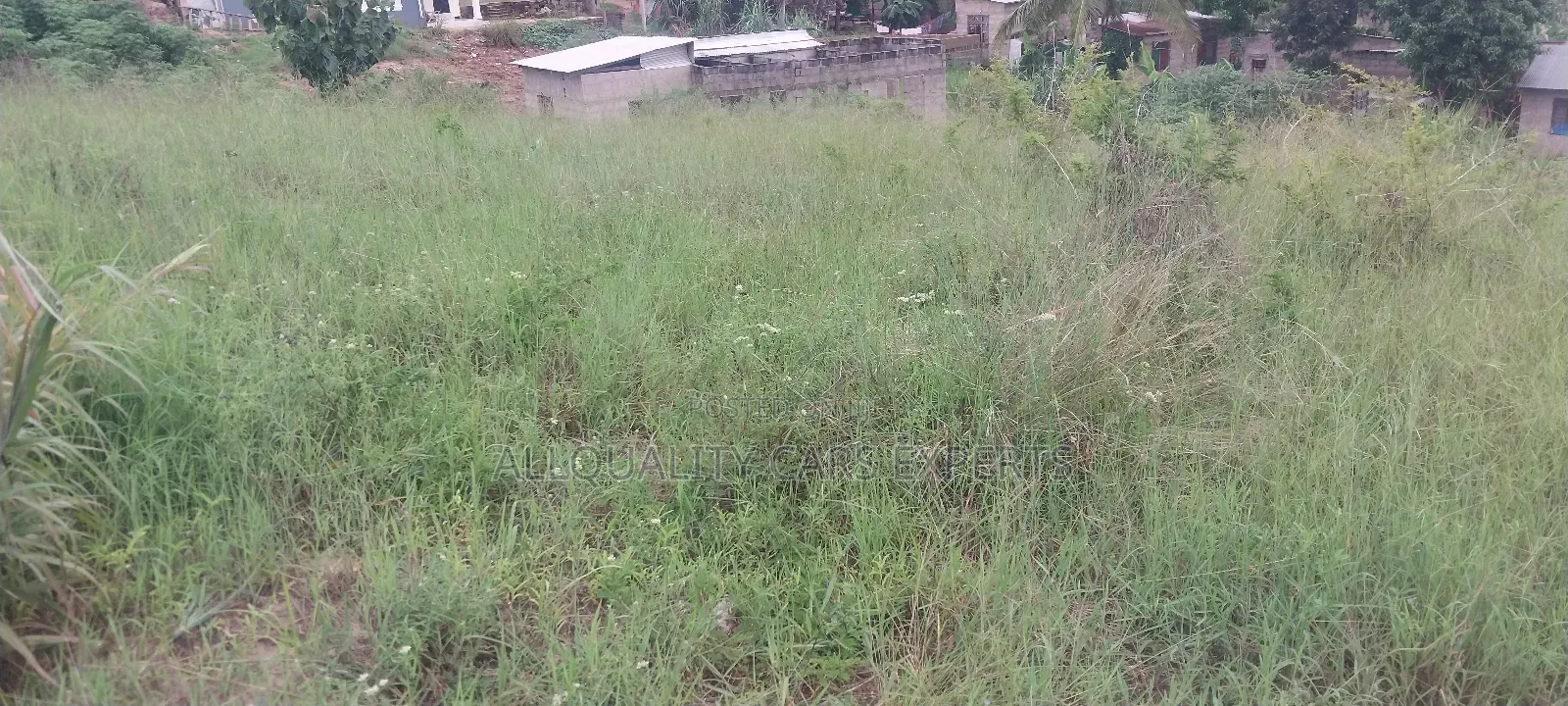 Land Sale SQM 650 Tuangoma
