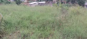 Land Sale SQM 650 Tuangoma
