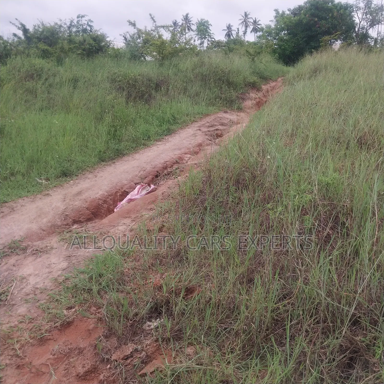 Land Sale SQM 650 Tuangoma