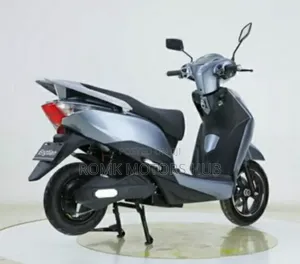 New Focin 2025
