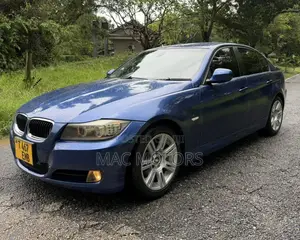 BMW 3 Series 320i RWD 2008 Blue