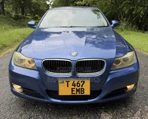 BMW 3 Series 320i RWD 2008 Blue