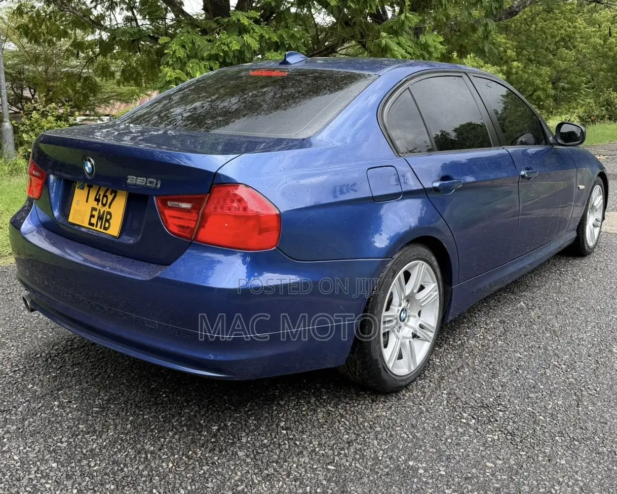 BMW 3 Series 320i RWD 2008 Blue