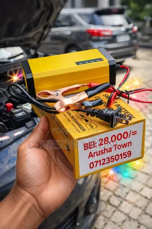 Smart Battery Charger