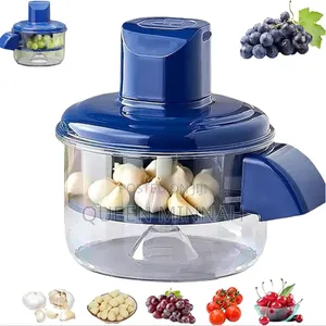 Garlic Peeler Machine Automatic Small Fruit Peeling Tool
