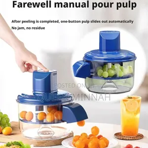 Garlic Peeler Machine Automatic Small Fruit Peeling Tool