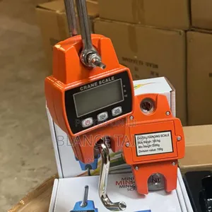 Mizani Kg 300/Hanging Scale