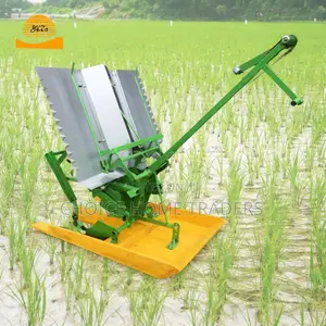 Rice Transplanter Seeding/Nashine Yakupandia Mpunga