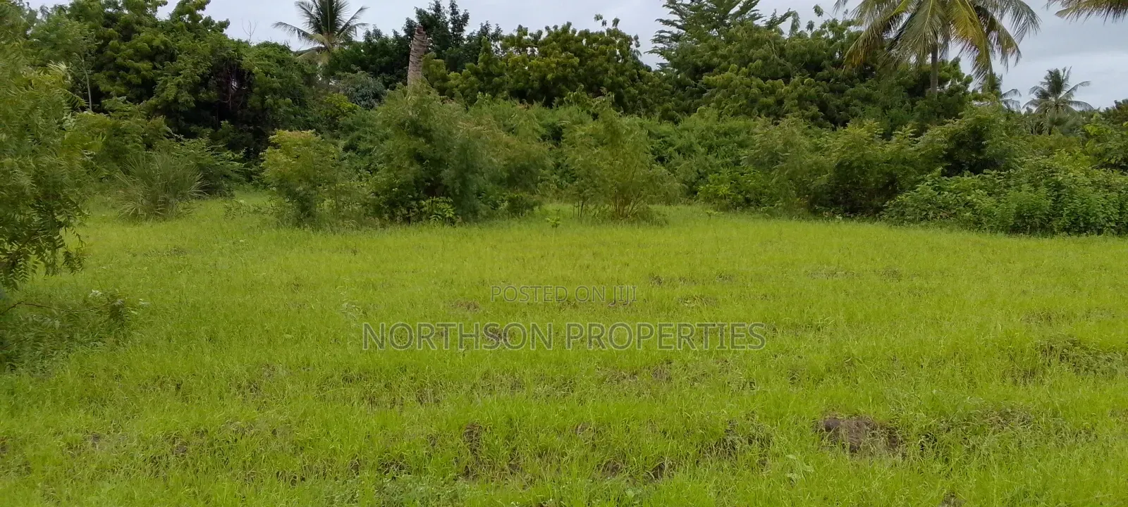 Viwanja Karibu Na Beach Mbutu