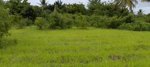 Viwanja Karibu Na Beach Mbutu
