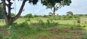 Viwanja Karibu Na Beach Mbutu