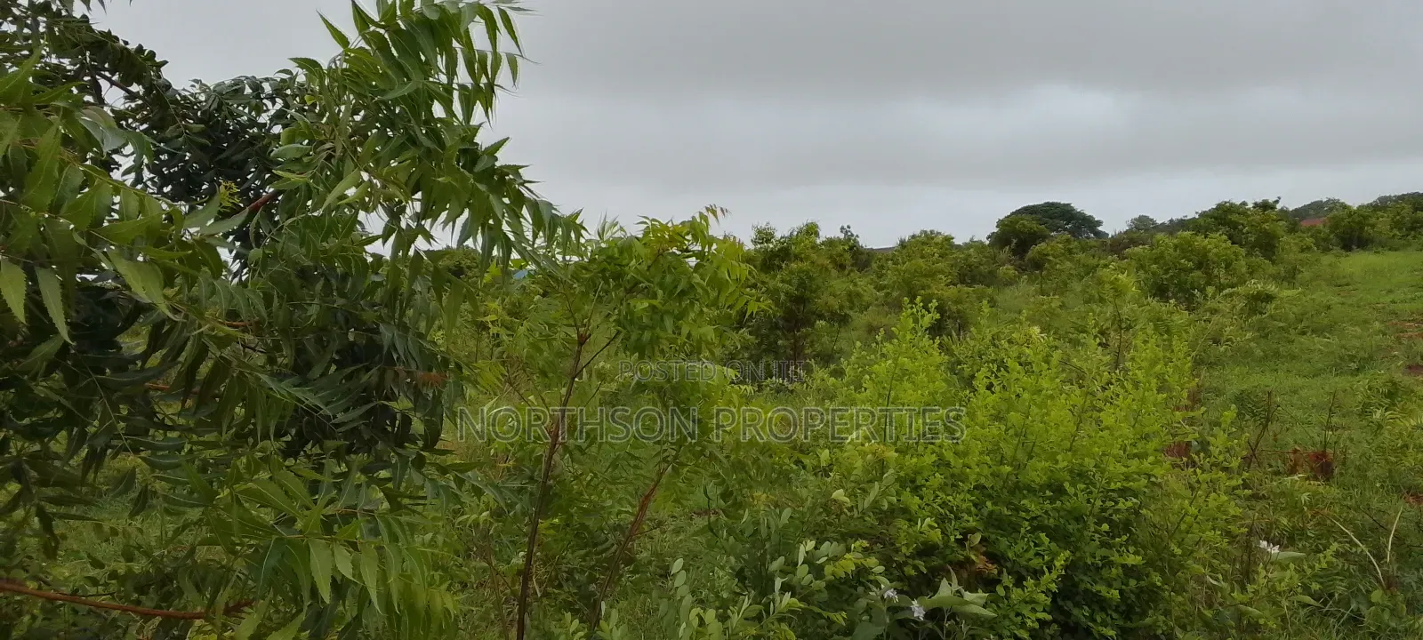 Viwanja Karibu Na Beach Mbutu