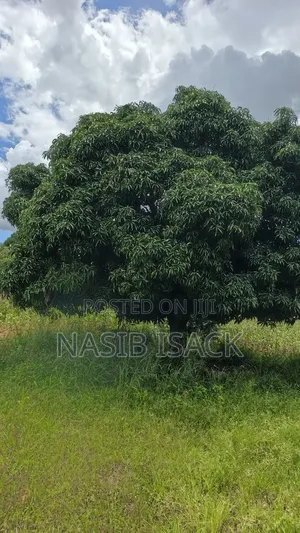 Plot for Sale Square Meters 6300
