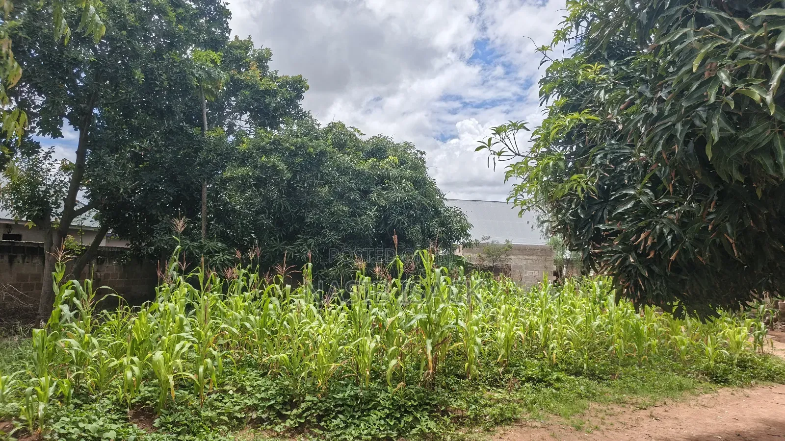 Furnished 3bdrm House in Kisesa for sale