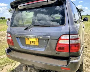 Toyota Land Cruiser 2004 Gray