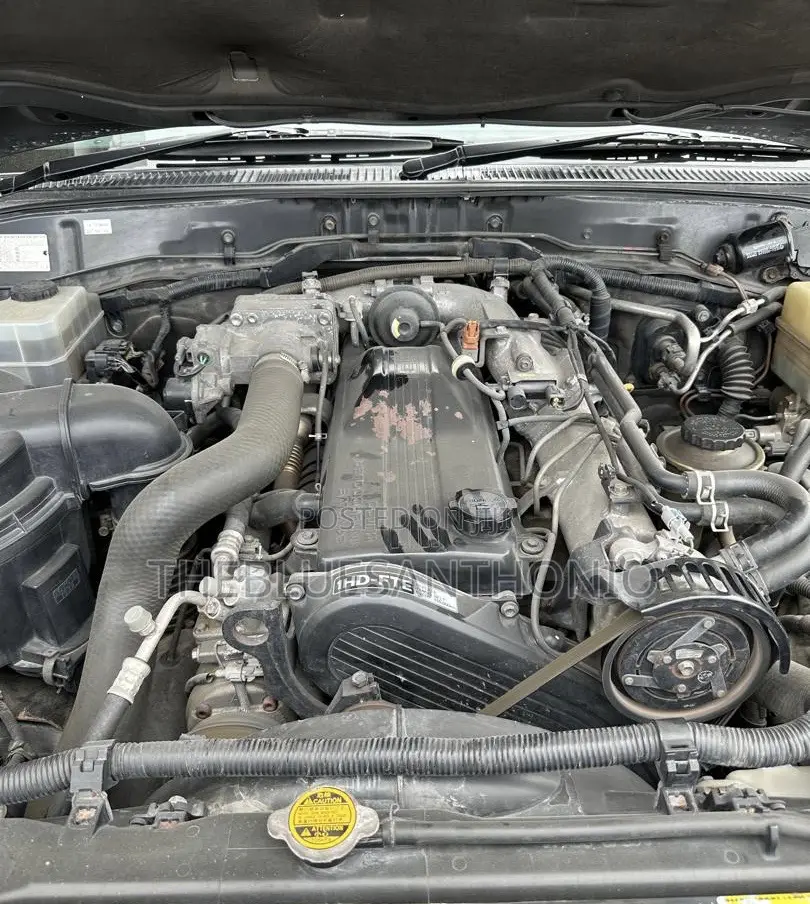 Toyota Land Cruiser 2004 Gray