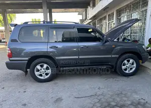 Toyota Land Cruiser 2004 Gray