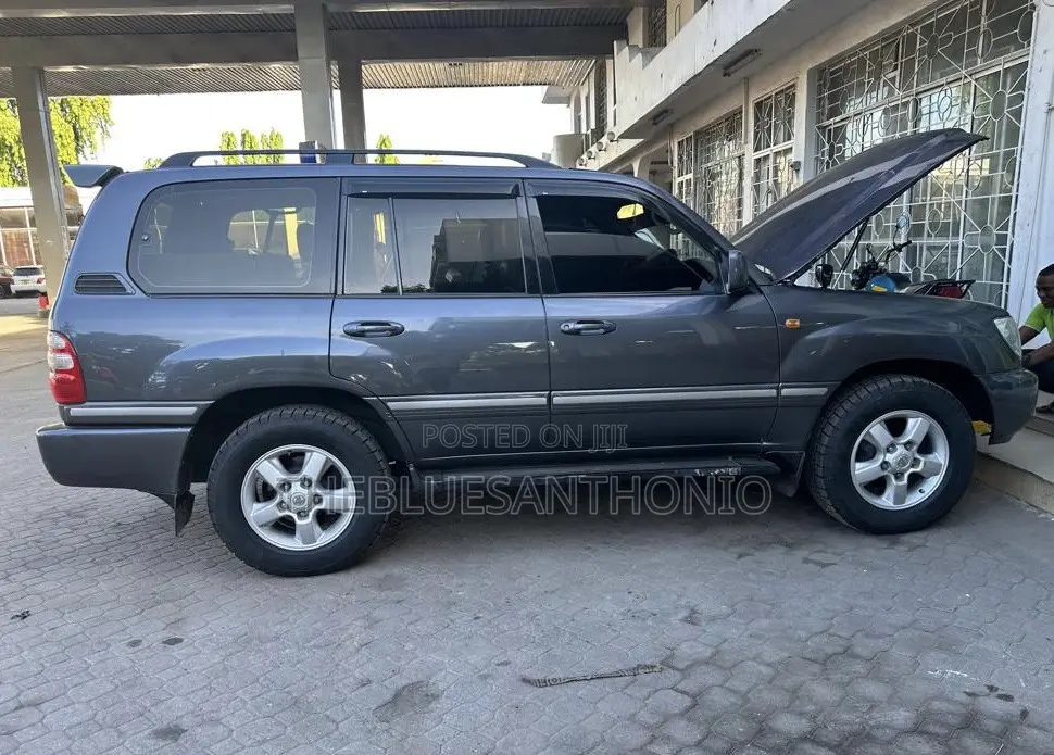 Toyota Land Cruiser 2004 Gray