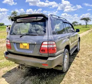 Toyota Land Cruiser 2004 Gray