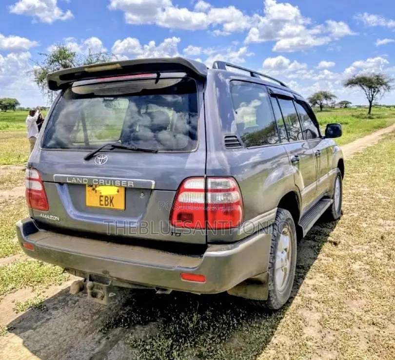 Toyota Land Cruiser 2004 Gray