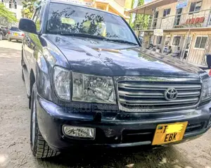 Toyota Land Cruiser 2004 Gray