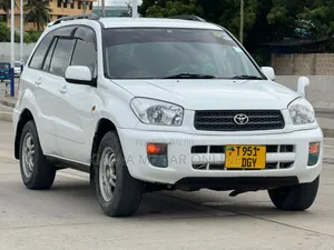Toyota RAV4 2004 White