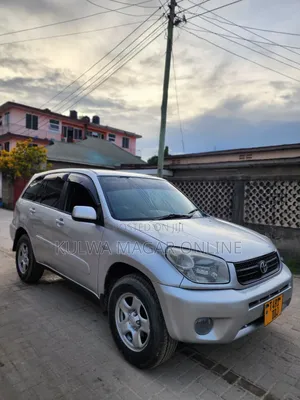 Toyota RAV4 2004 Silver