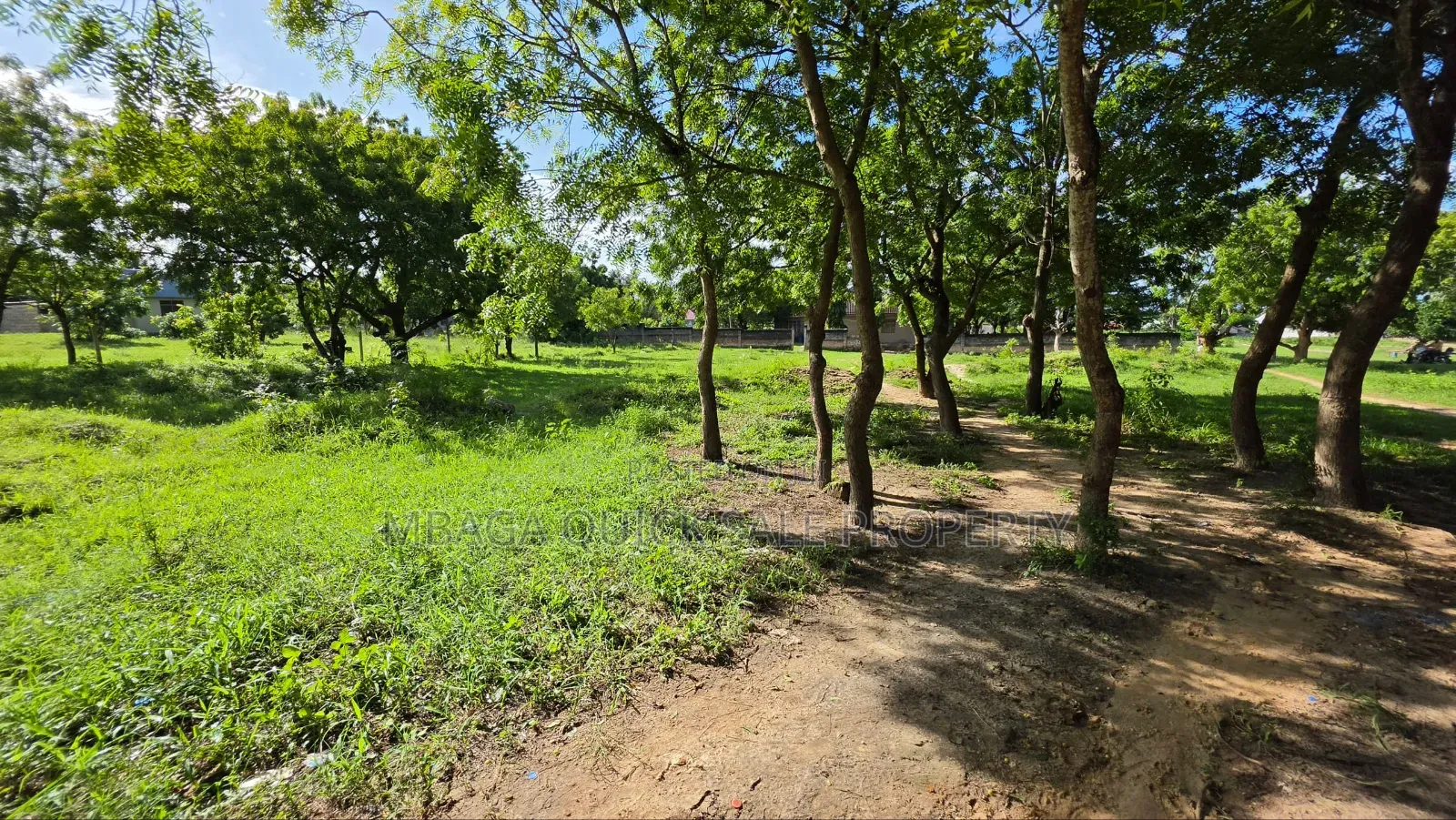 Plot Area SQM 1000 for Sale at Salasala