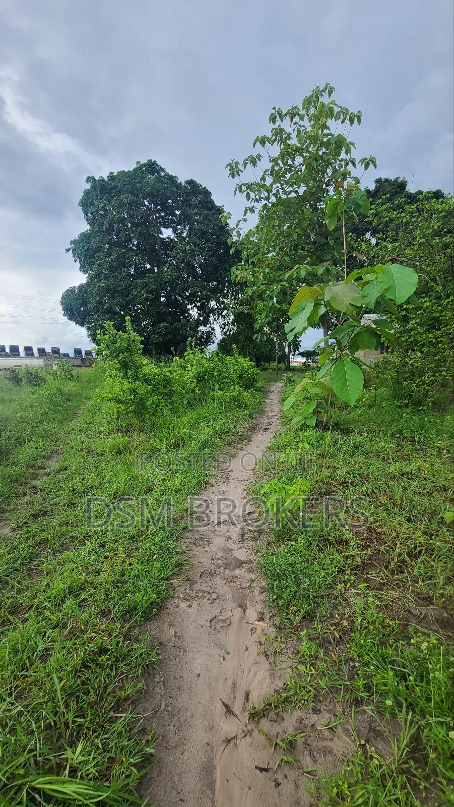 Eneo La Kibiashara Linatazama Morogoro Road Linauzwa