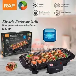 Electric Barbecue
