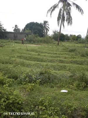Kiwanja Sqmita 144 Kinauzwa Milioni 3.6 Majohe Viwege.