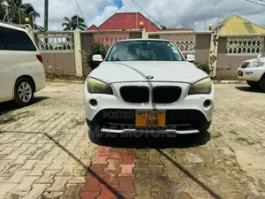BMW X1 2011 Pearl