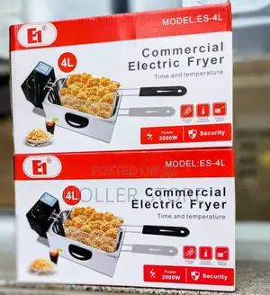 Electric Deep Fryer ( 4 Liters )