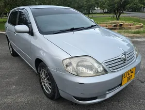 Toyota Allex 2003 Silver