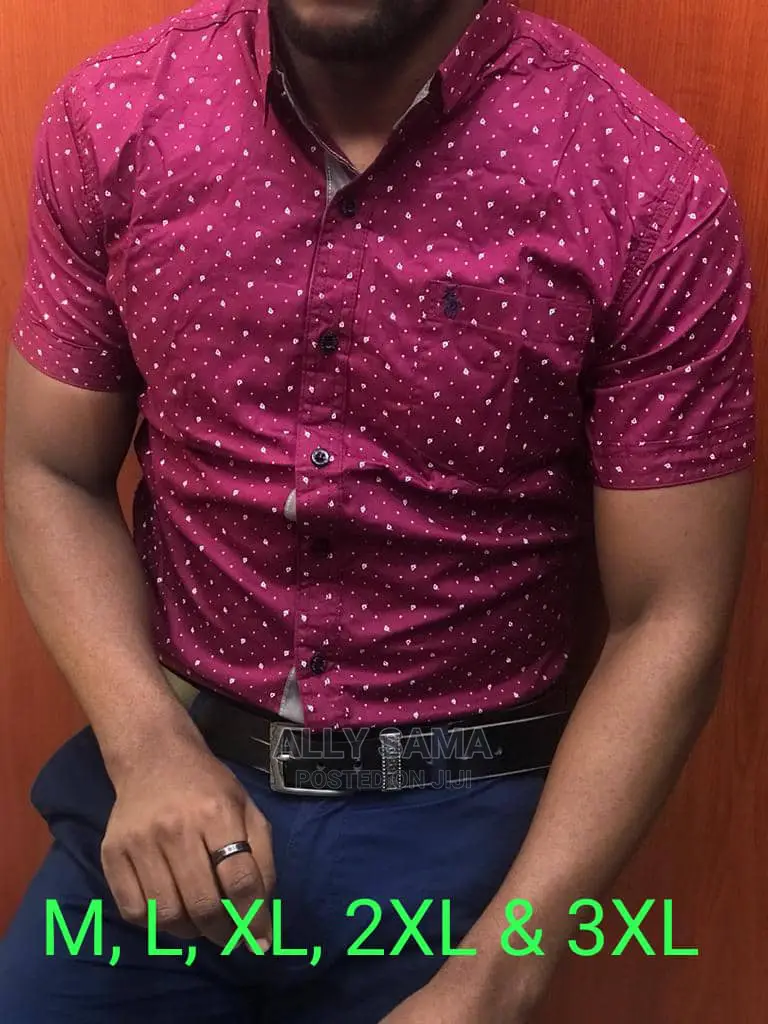 New Shirt Pollo