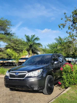 Subaru Forester 2014 Gray