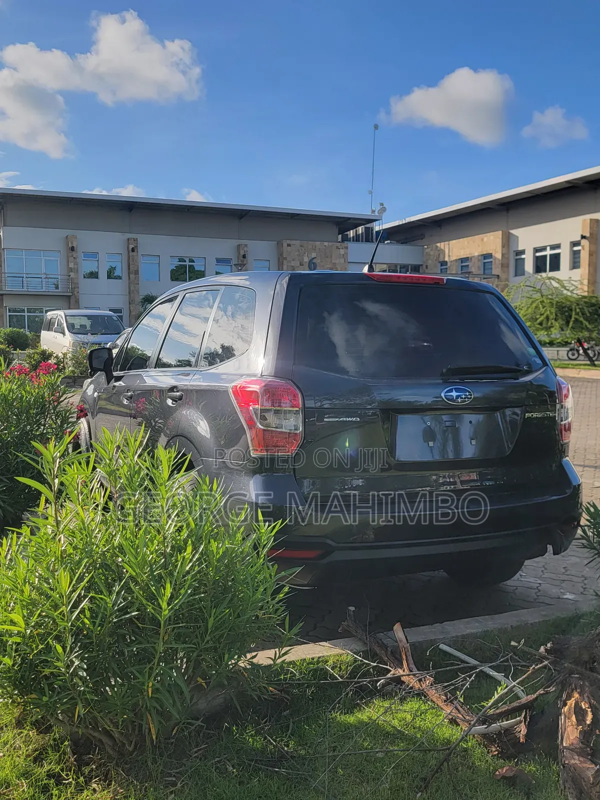 Subaru Forester 2014 Gray