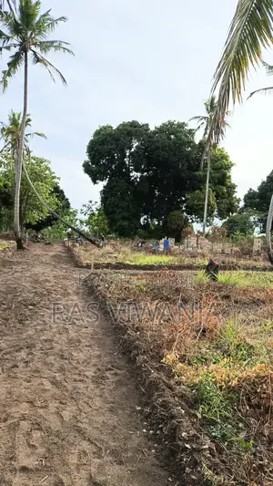 Tuna Uza Viwanja Vilivyo Pimwa Na Mashamba Nyumba Nk Piga