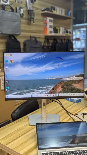 Dell 24 Inch Monitor