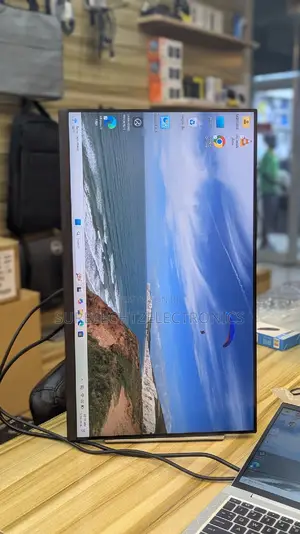 Dell 24 Inch Monitor
